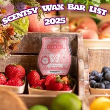 scentsy wax melts over 80 fragrance brand new
