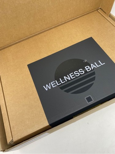 Technogym wellness ball - wellness,