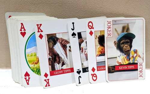 Tips playing cards - pg,