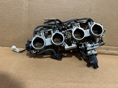 Butterfly bodies kawasaki - bodies,
