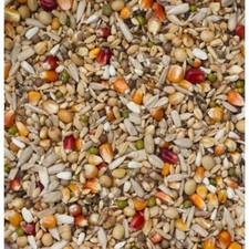 Beyers Galaxy Sport Energy