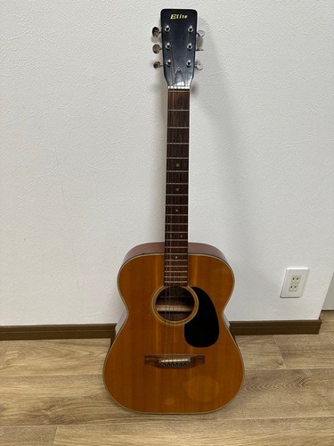 Elite takamine acoustic - takamine, guitar