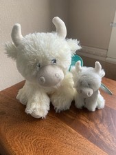 Jomanda Highland Coo’s . Two