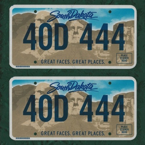 40d 444 pair - of, dakota
