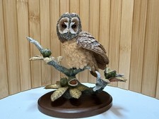 Country Artists Tawny Owl with