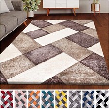 Small Large Shaggy Area Rug