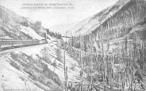Great northern oriental - northern,