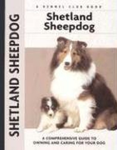 Shetland sheepdog a - shetland,