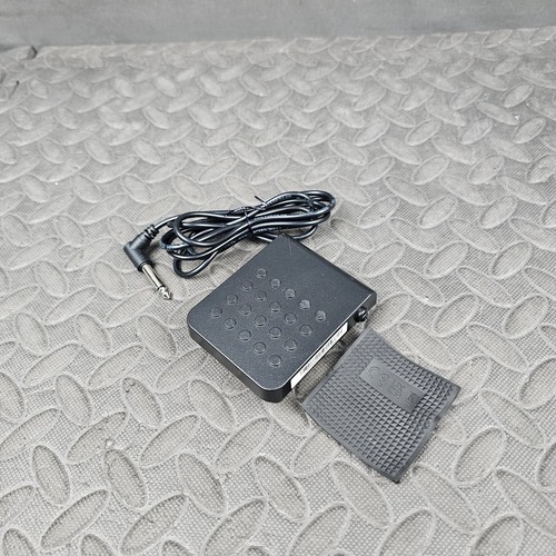 Casio sustain foot pedal - foot,