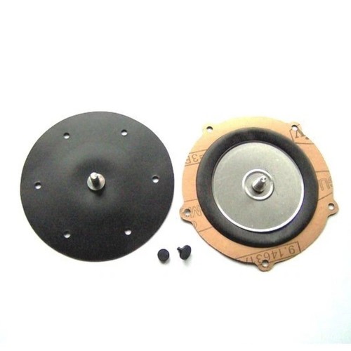 Lpg reducer diaphragm - diaphragm, repair
