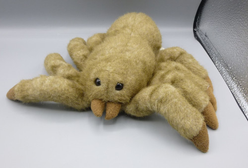 Dowman leosco tarantula spider - dowman,