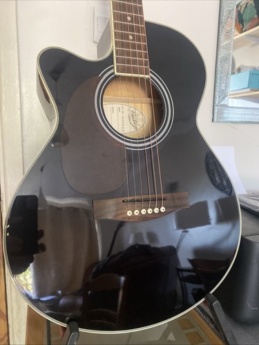 Hudson hf1 electric - electric, acoustic