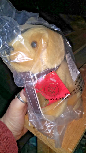 Dog teddy collectable - teddy.,