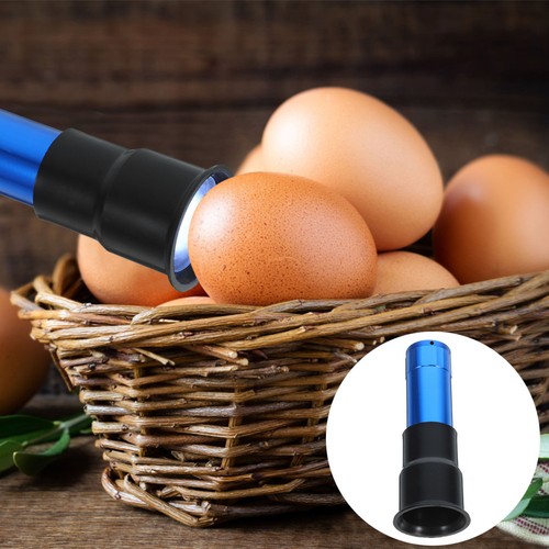 Poultry incubation equipment - poultry,