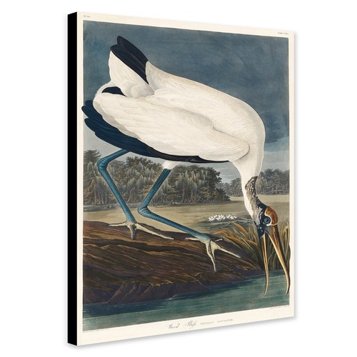Wood ibiss bird - vintage, art