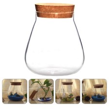 1Pc Glass Bottles Cork Glass