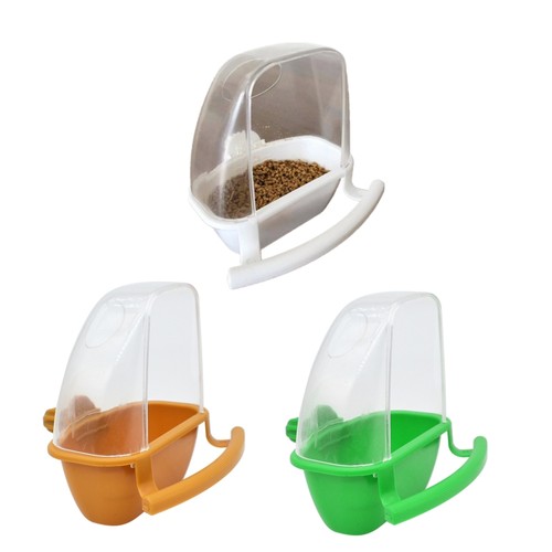 Parakeet feeder bird - parakeet,