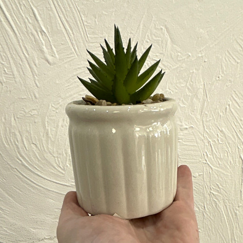 Artificial succulent potted - 10,
