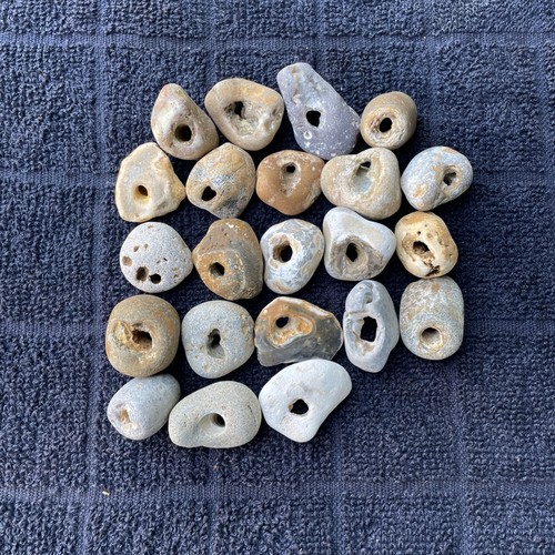 Twenty natural hag stones - twenty,