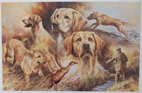 Mick cawston limited - mick,