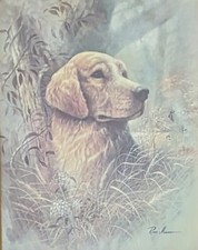 Lovely Framed Print Of A