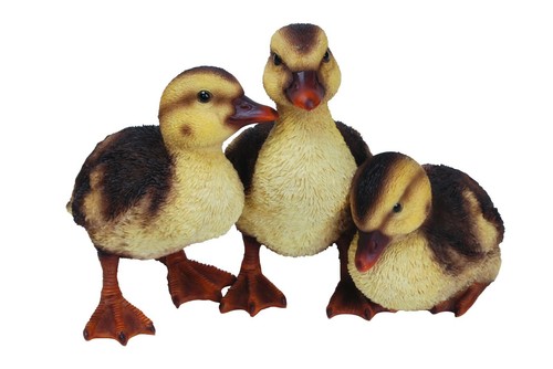 Vivid arts duckling - duckling, group