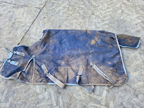 Turner equestrian 100g - turner,