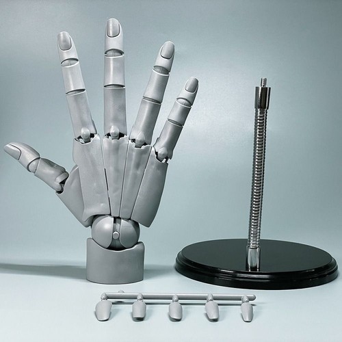 Flexible hand model with - hand,