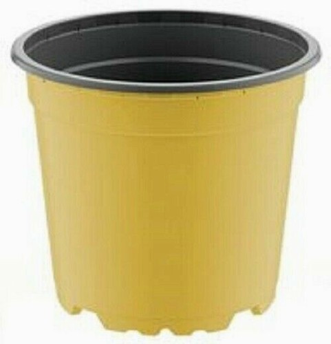 Bright coloured 17cm - 17cm, plastic