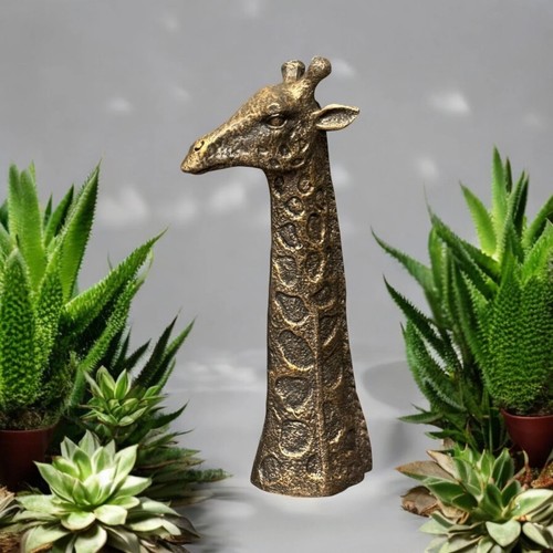 Next home bronze - home,