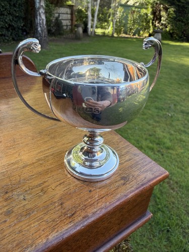 Small solid silver twin - small,