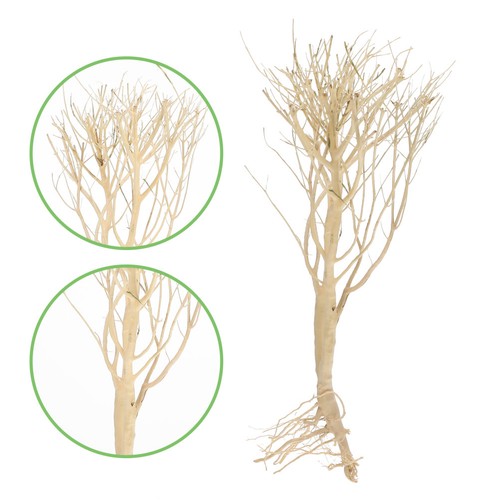 Underwater dead tree - dead, decor