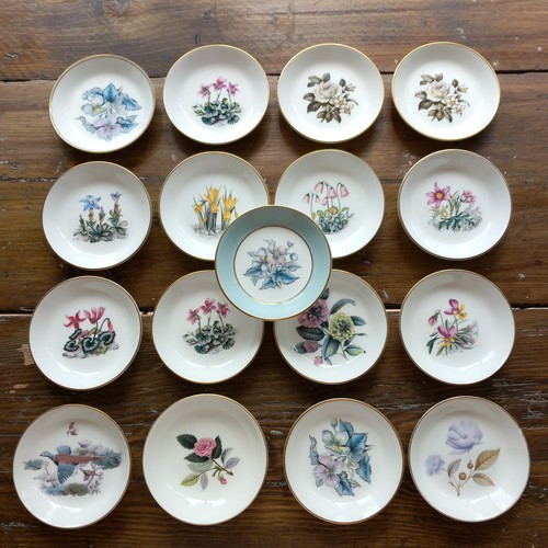 Collection royal worcester - collection, of