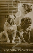 VTG RPPC British Bulldogs WWII