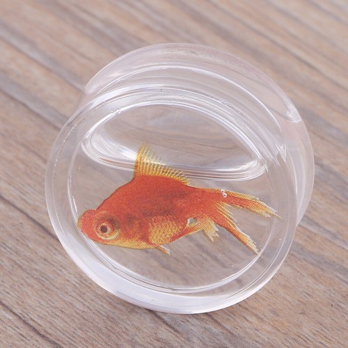 Pair cute liquid goldfish - 1,