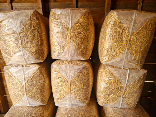 Large 5kg straw animal bedding - large,