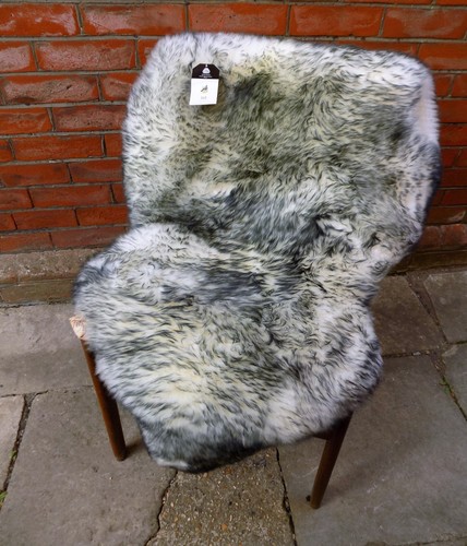 Large grey tipped speckled - grey,