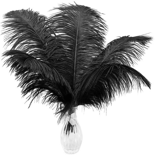 10pcs large ostrich feathers - 10pcs,