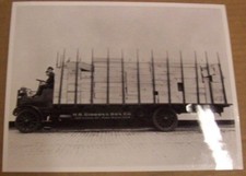 Sternberg 1912 - 1914 Long