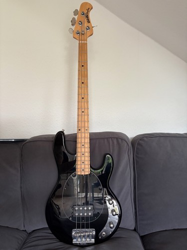 Ernie ball music - ernie, stingray