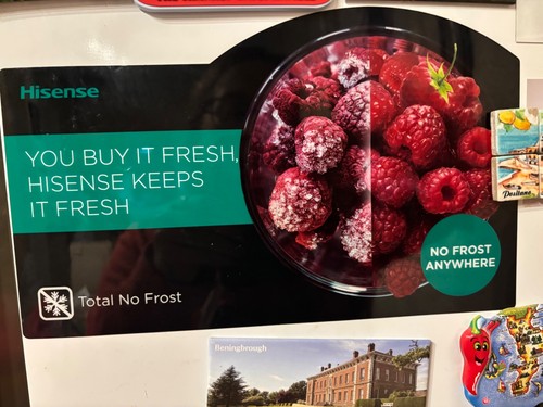 Hisense fridge freezer - fridge,
