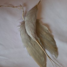 vintage 1950s feather birds of