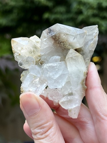 Brookite with himalayan quartz - himalayan,