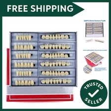 168 Pieces False Teeth Dental
