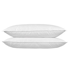 Luxury Goose Feather & Down