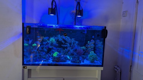 Kessil a360we series - a360we, 2