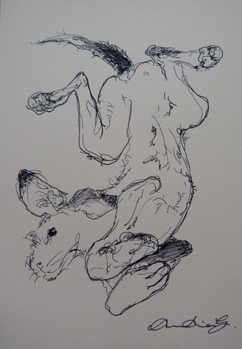 Ink drawing dog original - ink,