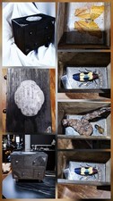 Entomology Specimen Drawers