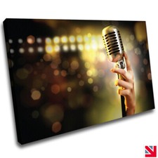 Music Microphone Concert