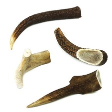 Dog Chew Deer Antler Natural